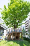 법인청파조경 | 「조경」おしゃれまとめの人気アイデア|Pinterest|ëí ê¹ | ランドスケープデザイン, ツリーハウス, ファサード