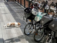 성환석문오토바이 | 낭만라이딩 - 강화 석모도 | Vehicles, About me blog, Motorcycle