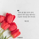 먼저 핀 꽃은 먼저 진다.