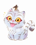 수시아카샵 | 데르피와 수시 🩷💖