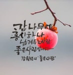 홍시