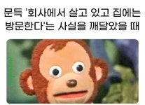 주식회사 살고싶은행복마을 | Пин от пользователя 근주 장 на доске 회사짤 в 2024 г