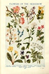 healing flowers: | 빈티지 꽃, 꽃