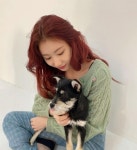 it지헤어(잇지헤어) | Pin on 있 지