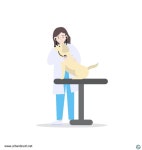 어반트랜트Care | 수의사 진료 일러스트 백터 ai 다운로드 download Veterinary care vector - 어반브러시