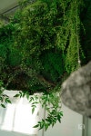 네이처가든지점아뜰리에 | Naturallynatural_내추럴리내추럴 Naturallynatural_내추럴리내추럴 | 조경, 조각, 그리기 도전