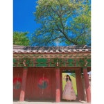 경주3일🌸 #혼자놀기 #경주 #경주여행 #입고놀자 #한복대여 #여리여리 #한복샷 #한복스타그램 #대릉원 #미추왕릉앞 #me #셀카 #셀피...