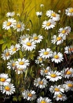 유화사진실 | Pin de 전병옥 em 구절초유화 | Pintura de flores, Margaridas, Ideias para telas