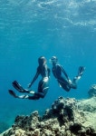 #divingplatformtips | 다이빙
