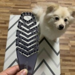않고 얌전히 있어요 #엘아미고 #엘아미고브러쉬 #펫브러쉬 #고양이빗 #강아지빗 #반려동물 #강아지용품 #반려견미용 #온라인전시관 #…