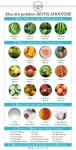 체리쉬디톡스(CHERISH DETOX) | Detox에 관한 12개의 최상의 Pinterest 이미지 | 건강 음료, 건강과 피트니스 및 건강한 생활 Detox