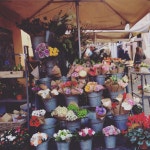 Pin by 진식 손 on FARM | Its a wonderful life, Planter pots, Farm