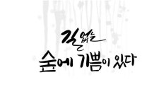 길 없는 숲