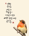 김영민 캘리그라피 | 새, 수채화, 시