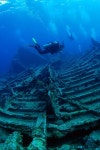 씨앤(SEA N)스쿠버 | Scuba에 관한 37개의 최상의 Pinterest 이미지 | 다이빙, Scubas 및 스노클링 Scuba