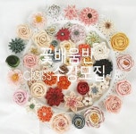 꽃배움반 원데이클래스 수강모집중입니다.. 13가지 정도의 꽃을... 앙금케이크 #앙금플라워케이크 #일산앙금플라… | 플라워 케이크, 케이크...