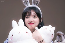 salon the Qoo | https://theqoo.net/square/874815777 | 연예인, 토끼, 강다니엘