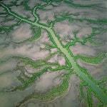Ord River, Australia by Bernhard Edmaier. | 놀라운