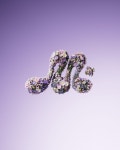 아모레퍼시픽 크리에이티브 - Amorepacific Creatives - 마몽드 브랜드 아이덴티티 디자인 (MAMONDE Brand Identity Design)