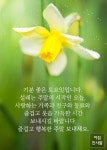 기분 좋은 토요일입니다.