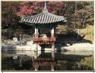 부용정에 대한 이미지 검색결과