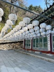 📍 Bokcheonsa Temple 복천사 #Bokcheonsa #Temple #복천사 #KoreanTemple #photography #koreatravel #Explore #streetphotography...