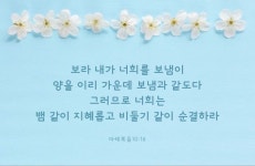 보라 내가 너희를 보냄이... #성경 #성경구절 | 성경 구절, 명언, 성경말씀