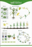 Packaging Design에 있는 asmaa.h.273님의 핀