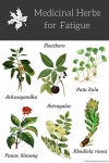 삼락한약초&허브 | Herbs for fatigue | 약초, 허브, 농업