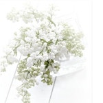 동탄플로리아&화성조경 | Pin de 정원 en Flora | Vías