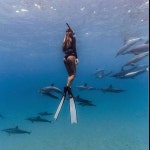 PrepareTheJourney.com | 다이빙, 수중 사진