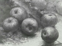 Pin by 정 조 on 연필화 | Avocado, Fruit, Plum