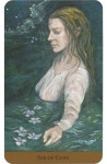 어컵오브헤븐(A Cup of Heaven) | 6 of Cups - Tarot of the Hidden Realm | 타로