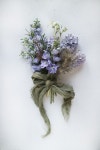 사진스타일링 시간-꽃-디어무이 : 네이버 블로그 Flower Photo-dearmooee Photography oneday class