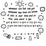 디오헤어(DO hair)팀신월점 | No one care like you do... #첫줄 #일상 #오오티디 #굿모닝 #데일리 #미용실 #헤어스타일 #취향저격 #먹방 #친스타그램 #휴무...