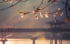 Wolyounggyo, in south Korea-andong | 안동시