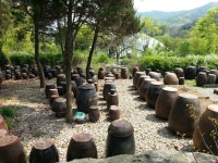 신구대학교 식물원