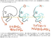654x488x63d37a330cca5214d2030157.jpg (654×488) | 강좌, 해부학 참고 자료, 스케치