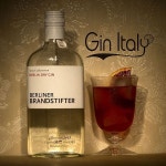 Pin di 수연 하 su Alcohol (con immagini) | Negroni, Gin, Instagram