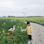 _ 아무생각없이 간 곳 #꽃 #유채꽃 #유채꽃밭 #세도면 #주말 #주말스타그램 #여행 #20190421 #일상 #오늘 #데일리 #소통 #공감 #공유 #선팔 #맞팔...