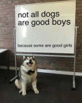 30 Of Today’s Best Pics And Memes | 유머