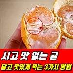 시고 맛 없는 귤을 달고 맛있게 먹는 3가지 방법 - 2020 | 음식, 식품 아이디어, 맛있는 음식