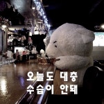 Writing에 있는 oldantique design님의 핀