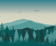 Forest | 여행