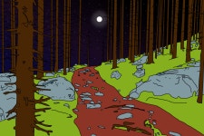 Forest trail | 숲