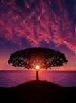 블루오션이진희1014호 | 이 진희님의 sunset 이미지 | 자연스러운, 석양