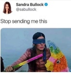 쥬박스버드파크 | Birdbox Memes | 개