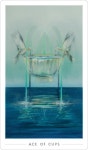 #tarot Fountain Tarot | 타로, 카드