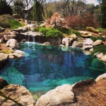 I love my backyard | Swimming pool architecture, Pool landscaping, Natural swimming pools