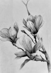 Pin by 상필 박 on 드로잉 | Art drawings sketches simple, Abstract pencil drawings, Animal illustration art